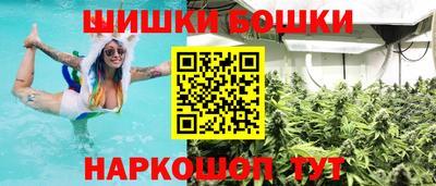 стаф Будённовск