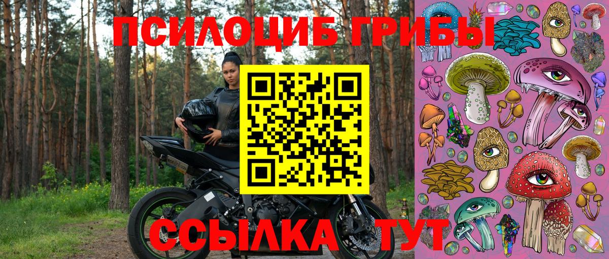 Волоколамск  Псилоцибиновые грибы MAGIC MUSHROOMS  Вход с VPN 