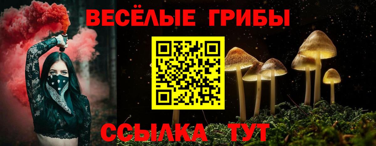 Галлюциногенные грибы Cubensis Волоколамск